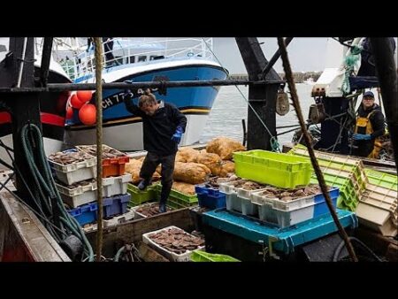 French fishermen gather in Cherbourg as sector faces down multiple challenges