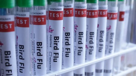 H5N1 bird flu confirmed in Australia for the first time, meaning virus has now reached every continent