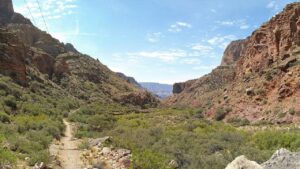 Multiple hikers dead amid scorching Grand Canyon temperatures Multiple hikers dead amid scorching Grand Canyon temperatures