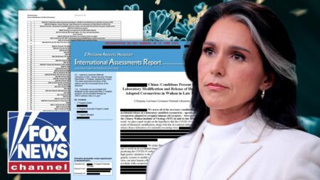 DETAILS: Gabbard releases HUNDREDS of COVID lab leak documents DETAILS: Gabbard releases HUNDREDS of COVID lab leak documents