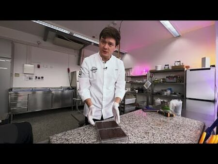 Game changer sweets: the Bavarian start-up making sustainable ‘chocolate’ from sunflowers Game changer sweets: the Bavarian start-up making sustainable ‘chocolate’ from sunflowers