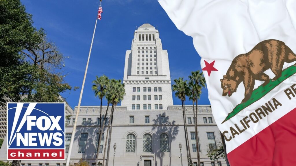 Los Angeles takes BIG STEP toward noncitizen voting