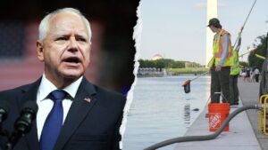 Tim Walz’s jab at Trump over Reflecting Pool draws fraud scandal backlash: ‘Sit this one out’