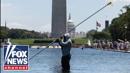 Former Olympian arrested for allegedly vandalizing Lincoln Memorial Reflecting Pool Former Olympian arrested for allegedly vandalizing Lincoln Memorial Reflecting Pool