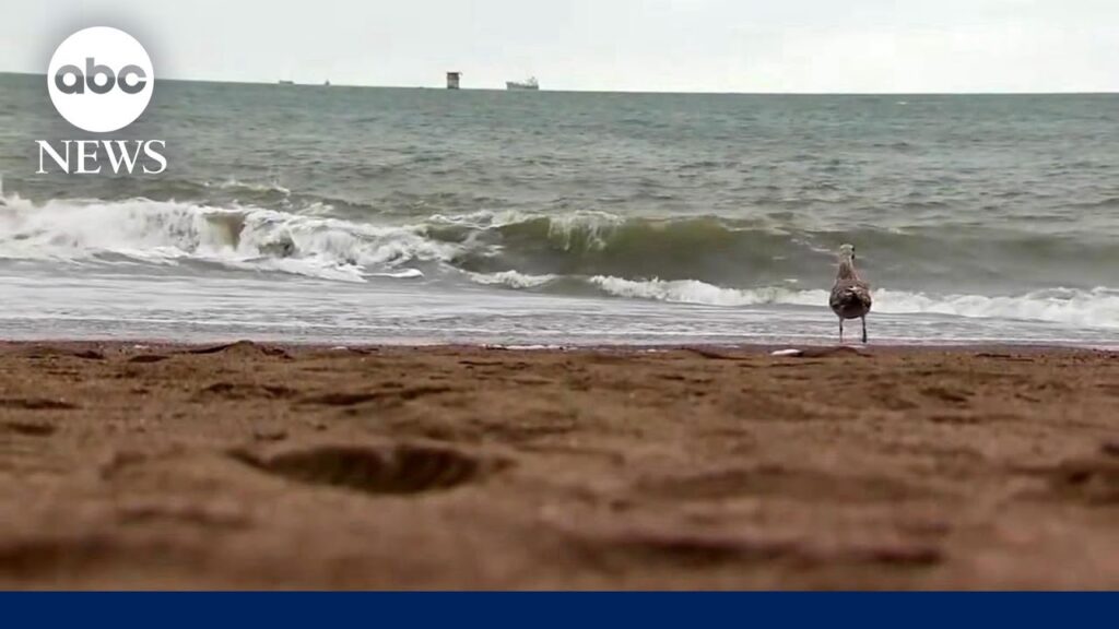 Mom, daughter critically injured by sneaker wave