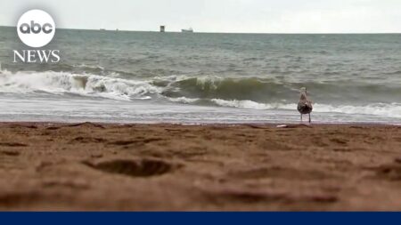 Mom, daughter critically injured by sneaker wave Mom, daughter critically injured by sneaker wave