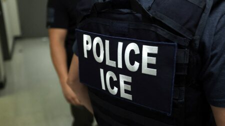 ICE opens up new front in war on fraud with new first-of-its-kind policy: ‘On notice’