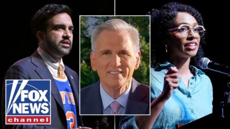 Mamdani, socialists now ‘CONTROL’ the Democratic Party: Ex-House speaker