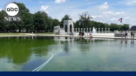 Algae problem plagues Reflecting Pool in D.C. Algae problem plagues Reflecting Pool in D.C.