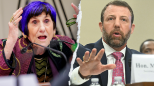 WATCH: Hearing derails as purple-haired Dem points finger, screams at chair to put DHS chief ‘in his place’