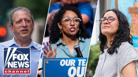 SOCIALIST SWEEP: Mamdani-backed candidates win BIG in New York primaries SOCIALIST SWEEP: Mamdani-backed candidates win BIG in New York primaries