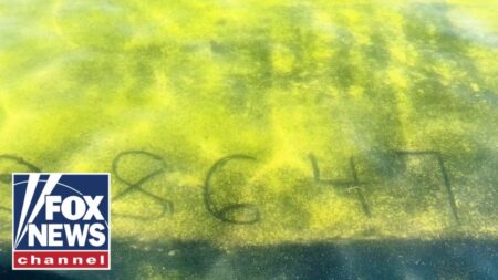 CHILLING vandalism at Reflecting Pool includes threats, blood-written messages