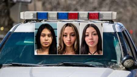 Sisters, friend charged in Texas mom’s stabbing death