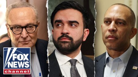 Socialist surge EXPOSED for TEARING Dems apart