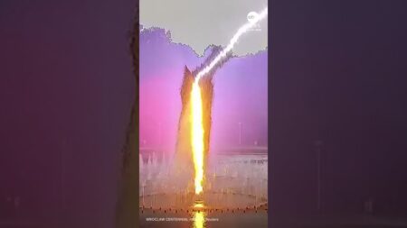 Surveillance footage captured the moment lightning struck a fountain