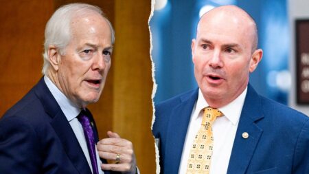 GOP infighting over Trump’s voter ID bill erupts as top senator calls strategy ‘fantasy’