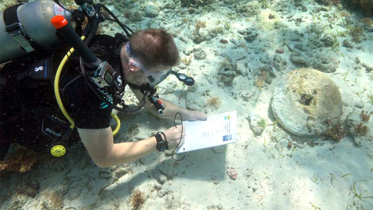 Diver recording sample at bottom of sea
