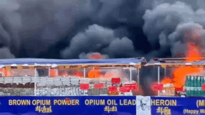 0 million worth of heroin, meth and other seized drugs set on fire in Burma