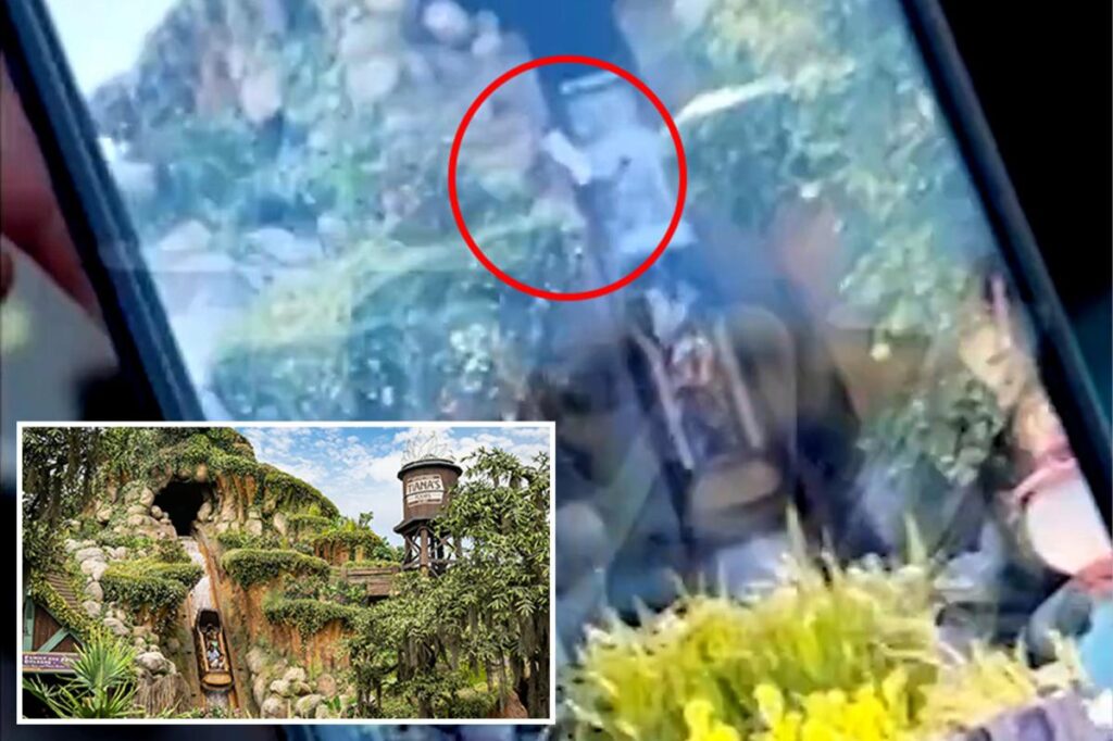 Horrifying video shows teen plunge over waterfall on Disneyland’s Tiana’s Bayou Adventure Horrifying video shows teen plunge over waterfall on Disneyland’s Tiana’s Bayou Adventure