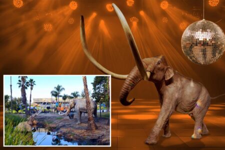 LA’s iconic La Brea Tar Pits Museum to host disco bash ahead of 2-year closure