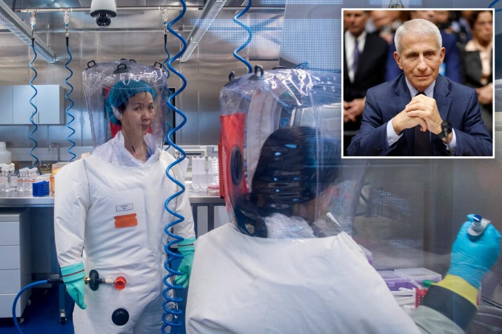 Fauci gave millions in taxpayer dollars to fund Wuhan lab research that sparked COVID: DNI Gabbard