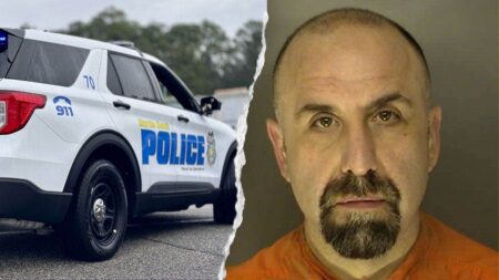 Detective arrested after allegedly pulling gun on fellow officer for microwaving fish at police station