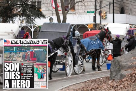 Mamdani pressured to ban NYC’s iconic horse carriage rides after teen tourist’s death