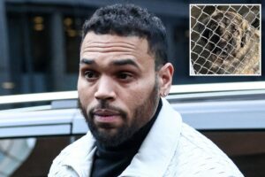 Shocking mistrial declared in M Chris Brown lawsuit involving dog ‘Hades’