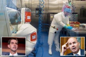 Exclusive | Sens. Cotton, Lee demand Trump admin cut off Chinese from national labs