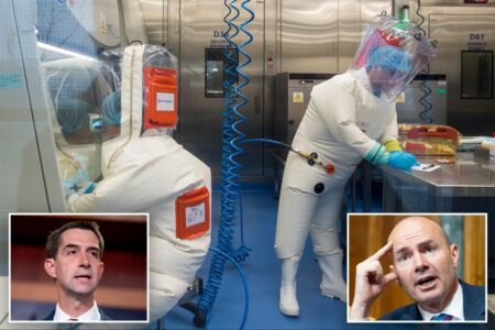 Exclusive | Sens. Cotton, Lee demand Trump admin cut off Chinese from national labs