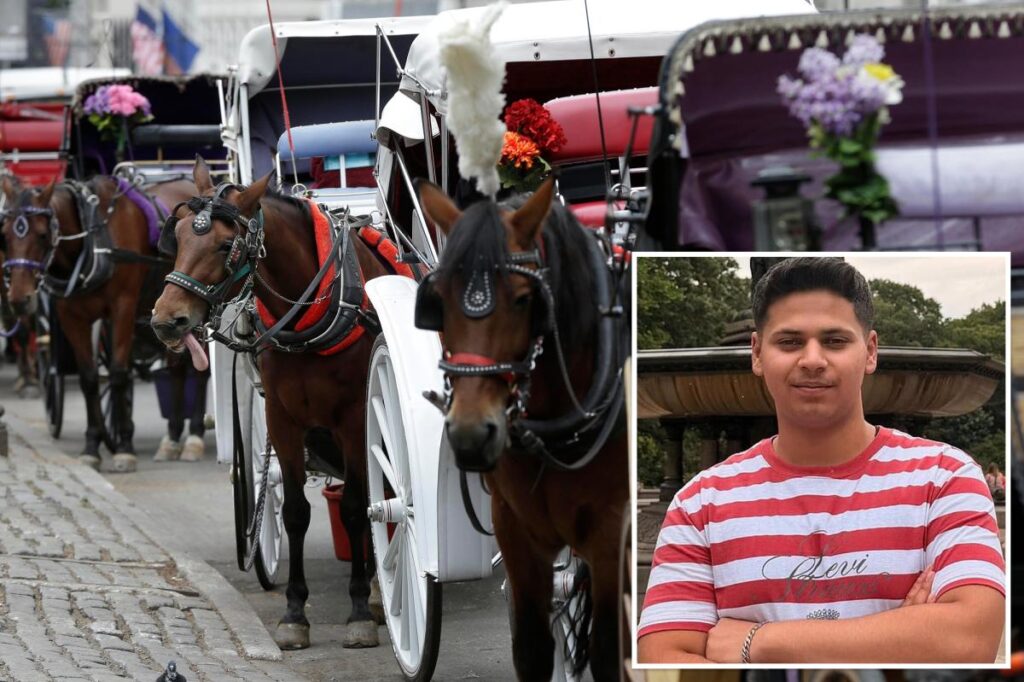 NYC bill to ban horse carriages to be renamed for teen killed in Central Park crash NYC bill to ban horse carriages to be renamed for teen killed in Central Park crash