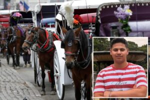 NYC bill to ban horse carriages to be renamed for teen killed in Central Park crash