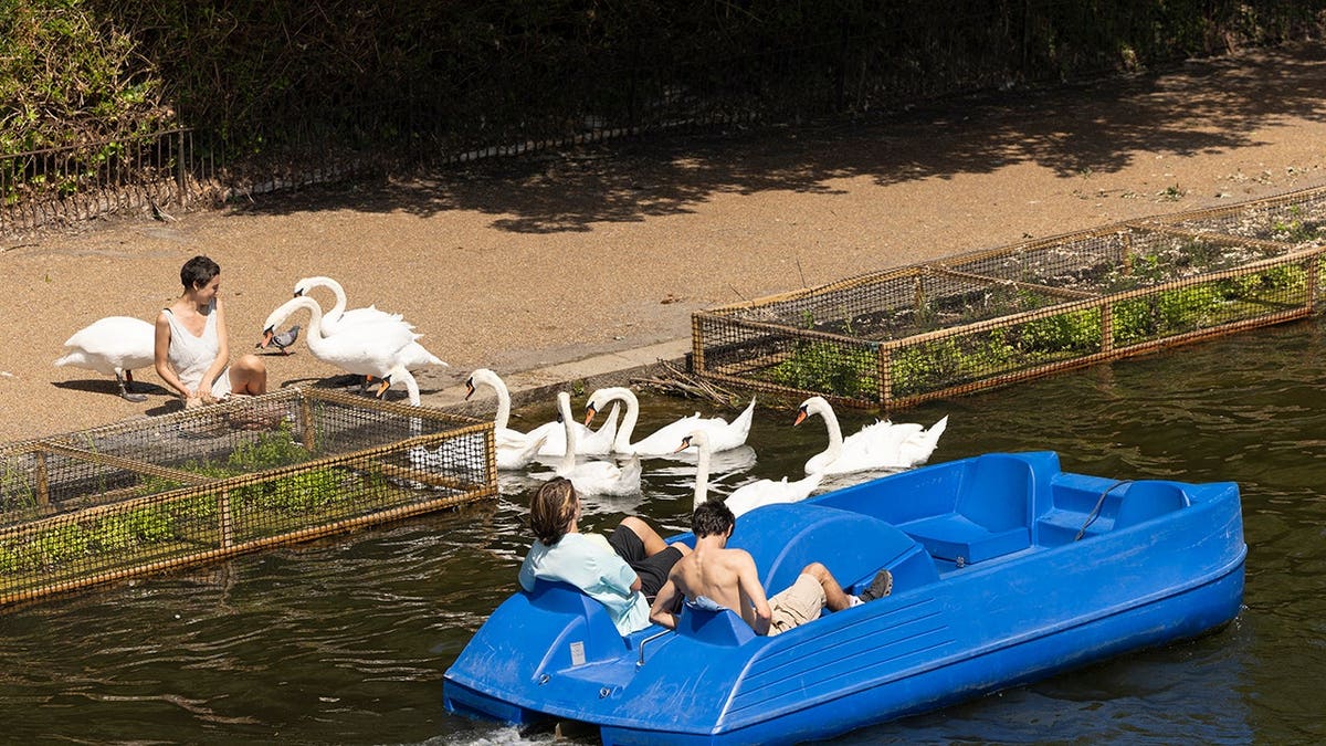 People using a paddle boat on a lake in Hyde Park London