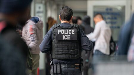 Judge orders ICE to free Wisconsin mosque leader over ‘substantial’ free speech claim after criticizing Israel