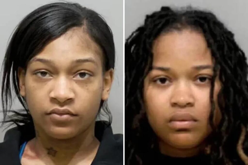 Sisters, including one 9 months pregnant, allegedly stabbed and hurled hot oil at Detroit restaurant worker over wrong order