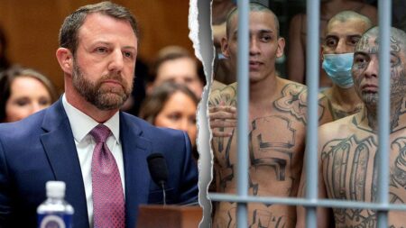 Sex criminals, gang members abused child immigration program to enter US, DHS reveals