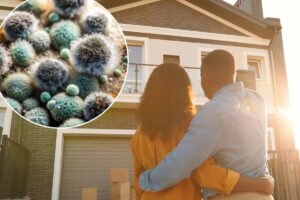 Your home’s air might be making you sick — here’s what to do about it