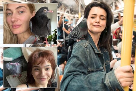Exclusive | Meet the wacky ‘pigeon girls’ adopting oft-hated ‘rats with wings’ who swear they make lovable pets: ‘They’re amazing creatures’