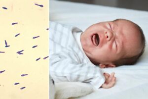 Organic formula sold at Target recalled after 3 babies hospitalized with botulism poisoning Organic formula sold at Target recalled after 3 babies hospitalized with botulism poisoning