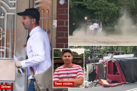 NYC carriage horse driver ‘devastated’ after teen tourist dies, union halts rides in response to tragedy