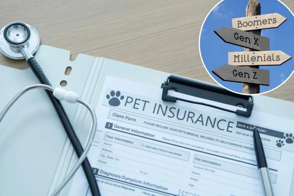 The 2026 petflation crisis: How outrageous vet bills are breaking everyone from Gen Z to Boomers The 2026 petflation crisis: How outrageous vet bills are breaking everyone from Gen Z to Boomers