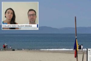 Horror as man, 28, is killed by a crocodile in Puerto Vallarta as California couple try to save him