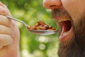 Eating insect-based foods may be easier to stomach than consumers expect, researchers claim Eating insect-based foods may be easier to stomach than consumers expect, researchers claim