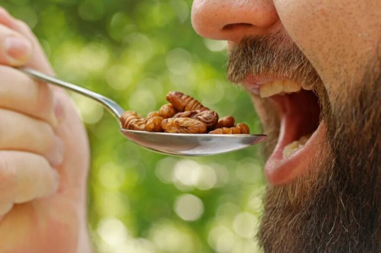 Eating insect-based foods may be easier to stomach than consumers expect, researchers claim Eating insect-based foods may be easier to stomach than consumers expect, researchers claim