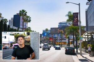 ‘For lease’ guy Jay Luchs reveals massive overhaul coming for Los Angeles’ Sunset Strip