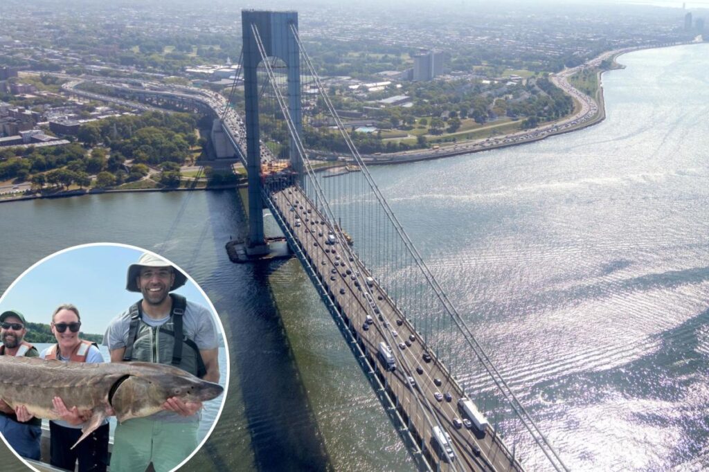 Bizarre reason for thunderous rumble in Hudson River revealed by scientists in eerie video Bizarre reason for thunderous rumble in Hudson River revealed by scientists in eerie video