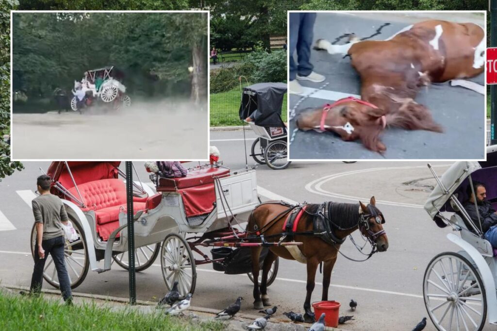 Central Park carriage horses return to work – as bombshell report reveals dozens of ‘abnormalities or concerns’ inside stables Central Park carriage horses return to work – as bombshell report reveals dozens of ‘abnormalities or concerns’ inside stables