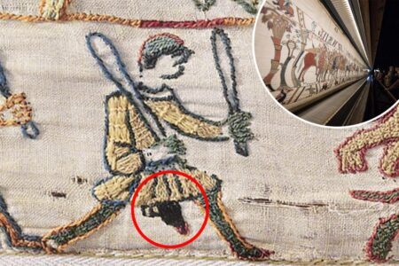 Penis debate continues to rage as Bayeux Tapestry returns to UK for first time in over 1,000 years