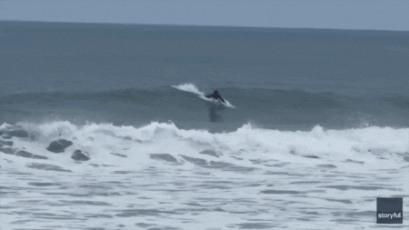 Shark Week shocker as great white breaches just yards from oblivious boogie boarder