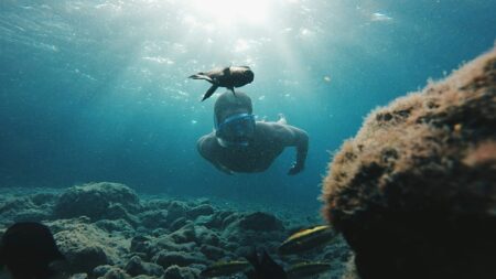 Canary Islands’ voluntary tourist tax to fund sustainability projects